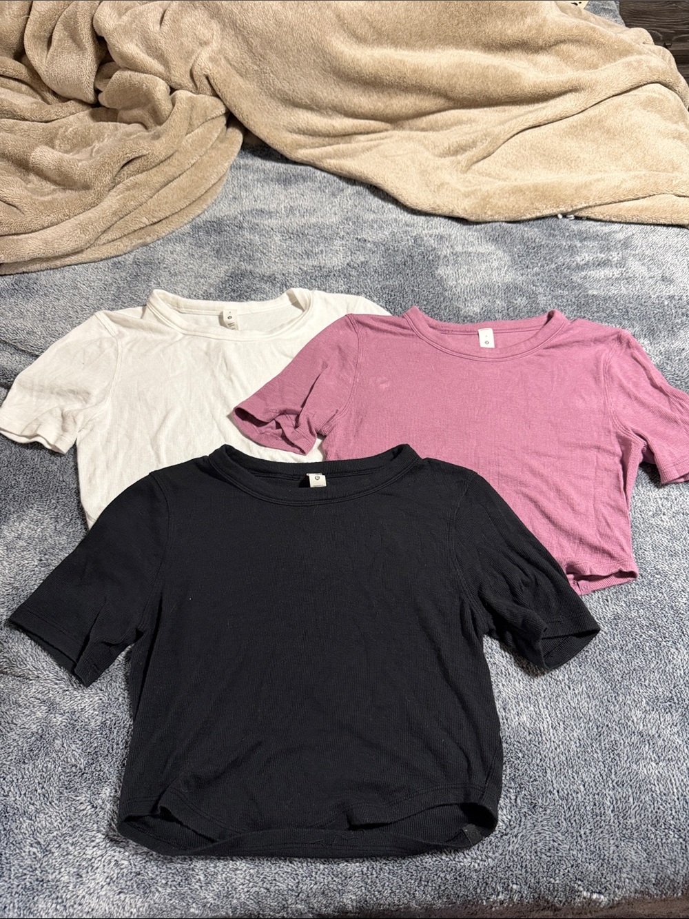 Women's Short Sleeve Crewneck Top - Black, pink magenta and white